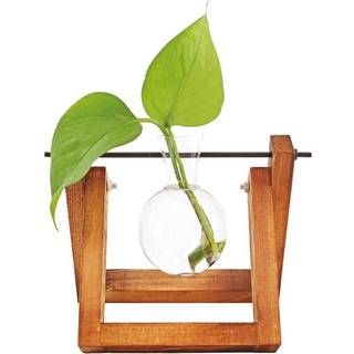 Winkee - Vase - Hydro Vases Fleur