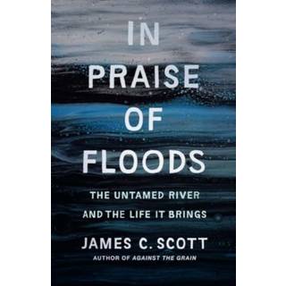 In Praise of Floods