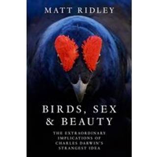 Birds, Sex and Beauty