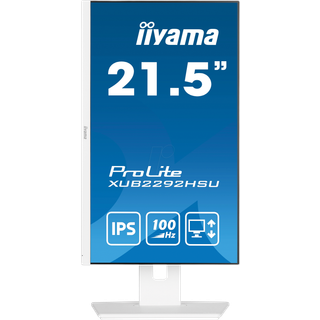 22" iiyama ProLite - 1920x1080 - 100Hz - IPS