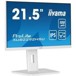 22" iiyama ProLite - 1920x1080 - 100Hz - IPS