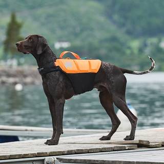 Non-Stop Dogwear Protector life jacket - Size 3
