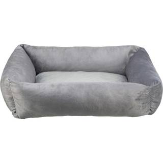 Lionel Hundeseng - 80x65 cm