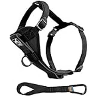 Kurgo tru-fit sele smart sort, M