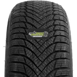 Minerva Frostrack HP  205/55R16 91H
