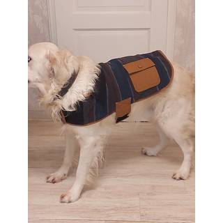 Carhartt hundedækken L, blåstripet P000468E39-L