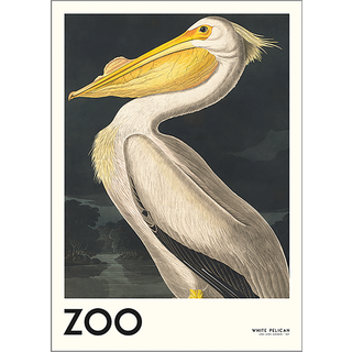 The Zoo Collection Pelican - 30x40 cm