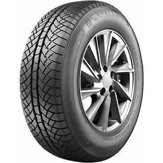 Sunny Wintermax NW611  185/65R14 86T