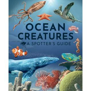 Ocean Creatures: A Spotter's Guide