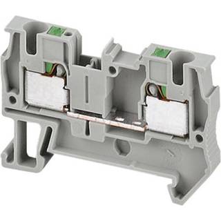 Schneider Genmgkle push-in 4mm2, grå