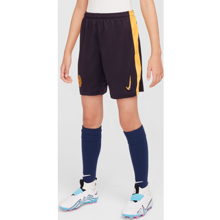 Inter Milan 2024/25 Stadium Third Nike Dri-FIT Replica-fodboldshorts til større børn - blå