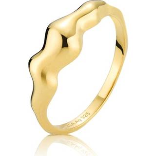 Nori - Ring Forgyldt - 52