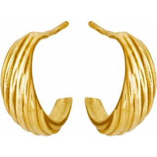 Susanne Friis Bjørner Øreringe - SFB - Sølv øreringe i forgyldt sølv - 5651-21