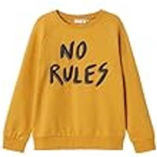 Regular Fit Sweatshirt
