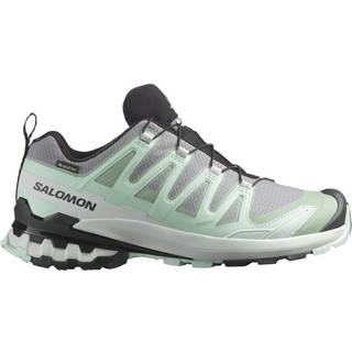 Salomon Women's XA Pro 3D V9 GTX Multisportsko Damer størrelse 6 farve grå