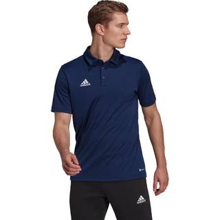 adidas adidas Blue Entrada 22 Polo Shirt