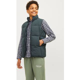 Dynevest Junior