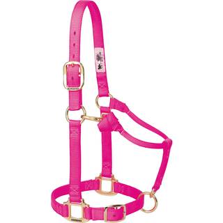 Weaver Leather Original Justerbar Nylon Horse Halter Yearling Diva Pink