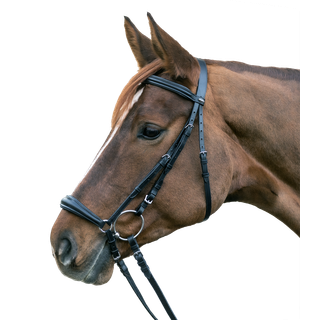 Waldhausen Star Hannoveransk Trense - FULL