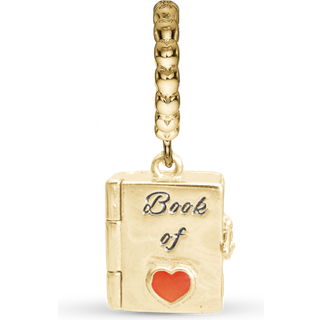 Christina Jewelry Book of Love You & Me Forever Bog forgyldt charm til læderarmbånd på 6 mm