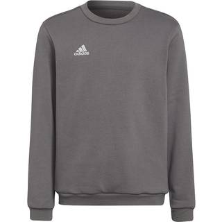 adidas adidas Grey Entrada 22 Sweatshirt