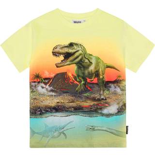Molo GOTS Riley T-shirt Volcano Dino 152 cm  Gul  152 cm  mand
