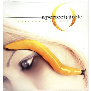 A Perfect Circle - Thirteenth Step