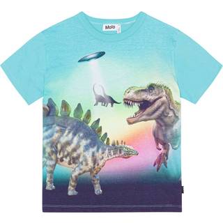 Molo GOTS Riley T-shirt Beaming Dinos 164 cm  Blå  164 cm  mand