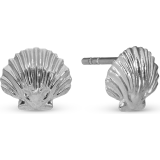 Clam Shell