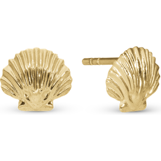 Christina Jewelry Clam shell ørestikker i forgyldt