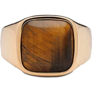 IX Studios Cushion Signet Tiger Eye Ring 22 kt. Forgyldt Sølv DMN0282GDTE--50 - Unisex - 925 Sterling Silver