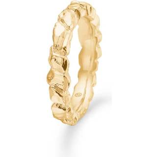 Studio Z Element ring i forgyldt sølv - Str. 60