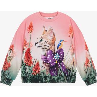 Molo GOTS Maxi Sweatshirt Fancy Cat 92 cm  Lyserød  92 cm  kvinde