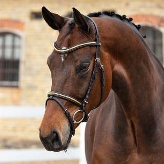 Kombineret trense Axford Fairfield® Mørkebrun