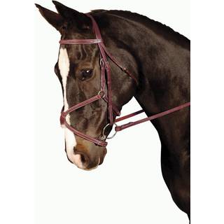 Kincade polstret Figur 8 Cob Bridle Brown