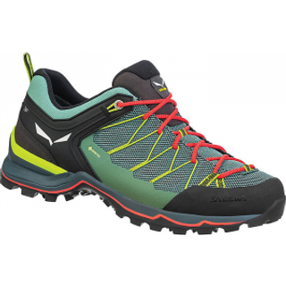 Salewa Women's Mountain Trainer Lite GTX Multisportsko Damer størrelse 6 farve kulørt
