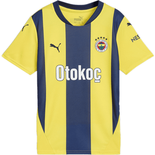 Puma FenerbahÃ§e SK 24/25 Home Jersey Youth, Yellow, Size 15-16Y, Clothing - Blue Violet - 15-16Y