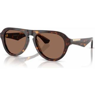 Burberry Mand BE4437U 300273 Solbriller Acetat Brun Brun Pilot Normal