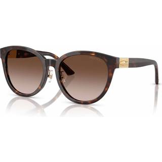 Jimmy Choo Kvinde JC5032D 50028G Solbriller Acetat Skildpadde Brun Pantos Normal Skygge
