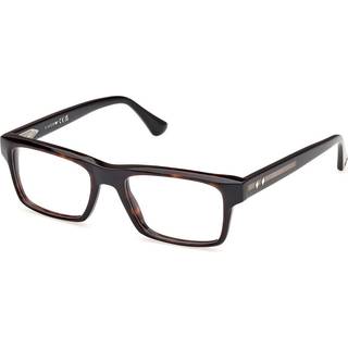 Web Mand WE5432 56 Optiske stel Acetat Havana Firkantet Normal
