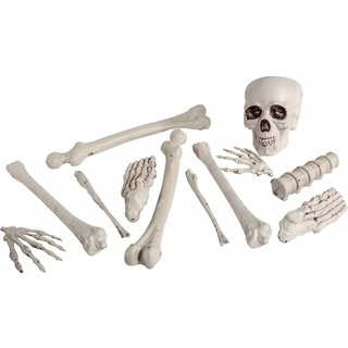 Knochen Set 12teilig
