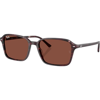 Ray-Ban Raimond - RB2231 1416C5 5818