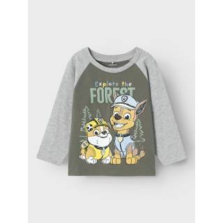 Name It Tea Leaf Top Paw Patrol