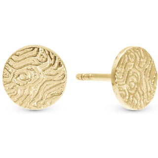 Christina Jewelry Dazzling imprint ørestikker i forgyldt