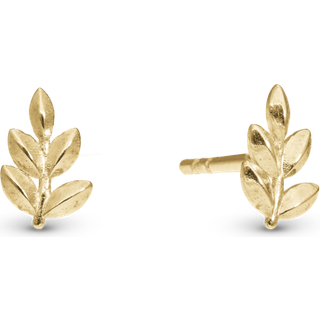 Oak Leaf