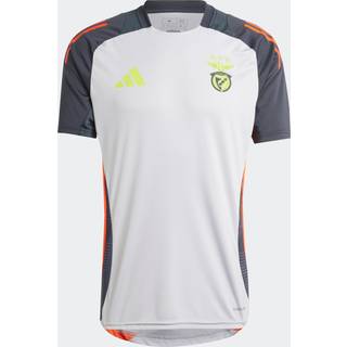 Benfica Tiro 24 Competition Training Jersey - Light Solid Grey / Semi Solar Red - M