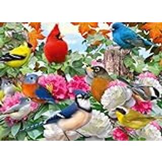 Ravensburger Garden Birds 500 Piece Jigsaw Puzzle For Voksne - 12000147 - H?ndlavet v?rkt?j lavet i Tyskland hvert stykke passer perfekt sammen