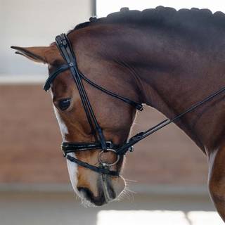 Kombineret trense Chelsea Fairfield® Sort