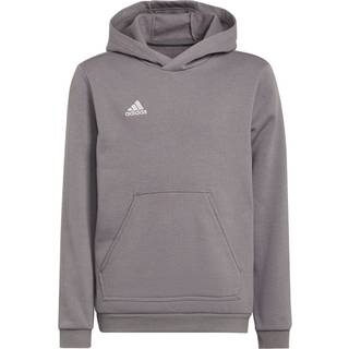 adidas adidas Grey Entrada 22 Sweat Hoodie