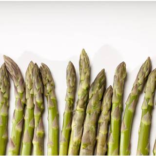 Asparges 'Gijnlim' - Potte 3,5 liter